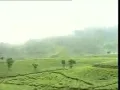 Download Lagu Sudah jatuh tertimpa tangga(Mansyur.s)