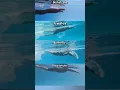 All 4 Swimming Stroke - what s your favourite