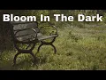 Bloom In The Dark  - Emorie [Lyrics in Description]