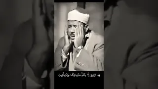  عبدالباسط   وما توفيقي إلا بالله عليه توكلت واليه أنيب دندنها