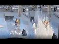 Influencers Caught In The Wild PART 15