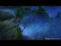 Rain Music for Sleep 💤 Tibetan Singing Bowls with Thunderstorm White Noise