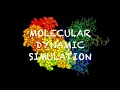 Molecular Dynamic Simulation
