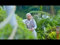 Download Lagu Fauzana - Alun Rasaki - Lagu Minang Terbaru (official video lirik)
