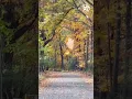Autumn Leaves Fall in New York s Finger Lakes Region