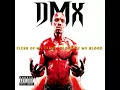 Download Lagu DMX - Dogs For Life