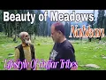 Download Lagu Meadows of Gujjar Tribes ||Nabkan||Margan top||untouched beauty of Neelwand||tourism