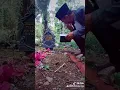 Download Lagu Ayah kukirimkan doa 😭😭