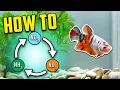 Best Nitrogen Cycle Guide for Beginners Different Methods Explained