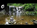 Download Lagu 1 Hour of Relaxing River Sounds - Flowing Water and Forest Creek Ambience 🏞️