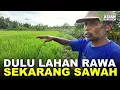 Download Lagu PELUANG DAN TANTANGAN BERTANI DI LAHAN RAWA PESISIR TRANSMIGRASI KALIMANTAN UTARA