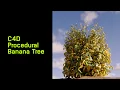 C4D Procedural Banana Tree