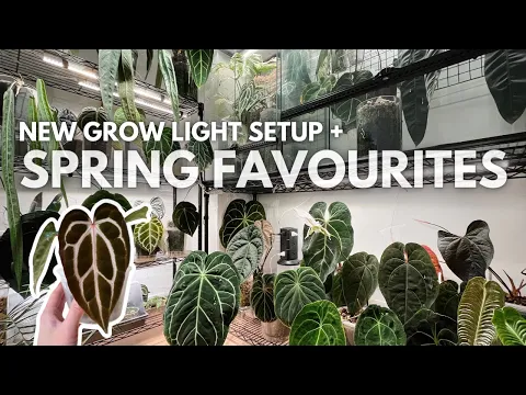 Download MP3 New plant shelf setup 😍 + current spring favourites