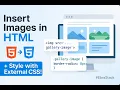 How to Insert Organize Images on a Using External CSS Tag ID Class Selectors Day 9