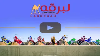 ش  فزعة ل  هجن الرئاسة  أحمد مطر ماجد الخييلي  المحلي السادس           م جذاع بكار مفتوح         دندنها
