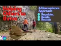 Helping Others to thrive Regulate Relate Reason a neurosequential model