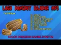 Download Lagu DANGDUT DAN TARLING BAJIDOR FULL ALBUM