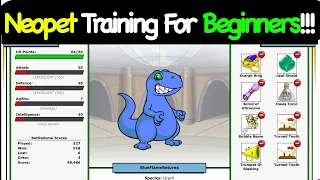 Neopet Training For Beginners