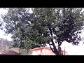 {poyraz karayel}