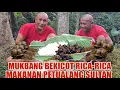 Lagu Pedes e poll Luur, Mukbang Rica Rica Bekicot, Mantab !!!
