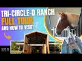 Tri-Circle-D Ranch Full Tour and How to Visit