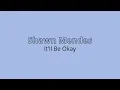 Download Lagu Shawn Mendes - It'll Be Okay 1 HOUR
