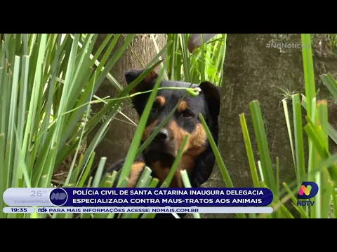 Polícia Civil de Santa Catarina inaugura delegacia especializada contra maus-tratos aos animais
