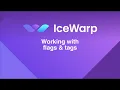 Working with flags and tags