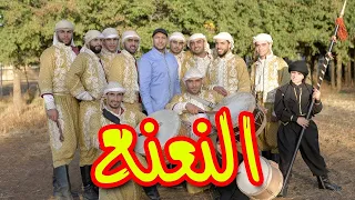 النعنع   مراد شريف   طيور الجنة دندنها