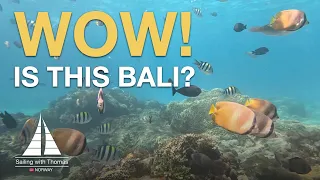 IS THIS REALLY POSSIBLE IN BALI?- SwT 198 – Taman Ujung Water Palace