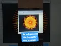 Draw Sunflower using Python Turtle Python programming tutorials Code Problem