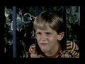 Adam 12 I Just Stuck My Head In I Guess I Wanted to See if it Would Fit - 1968