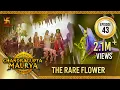 Download Lagu Chandragupta Maurya | Episode 43 | The Rare Flower | चंद्रगुप्त मौर्य | Swastik Productions