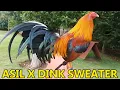 Asil Sweater Dink Kelso Grey RANCHO LA PALMA - Beautiful Birds