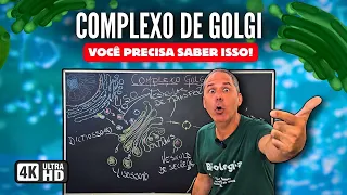 COMPLEXO DE GOLGI: Como Ele Funciona e Por Que Você PRECISA Saber Disso! CiênciaTraduzida