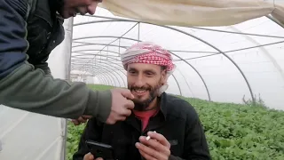 الخال عم يشرب دخان لاول مره مين السبب دندنها