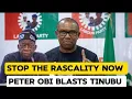BREAKING NEWS: Peter Obi Sends Powerful Warning To Tinubu ‘Stop The Rascality’