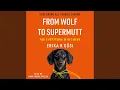 Chapter 17 Our Relationship with Dogs 14 - From Wolf to Supermutt and Everything in Between
