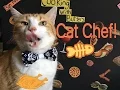 How To Make Popsicles For Your Cat