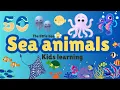 Download Lagu 50 Sea Animals, Dive into the Ocean with 50 Sea Animals | Children Educational Video
