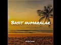 Zerrin Özer-Basit Numaralar