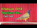 Lagu Cuitan SOGON||Pancingan  Sogon Agar Cepat Bunyi.