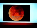 Tu B'Shevat Prophecy