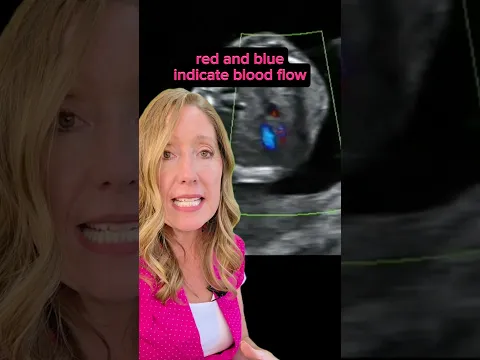 How We Check a Baby’s Heart at 20 Weeks 💓