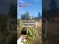 Download Lagu story wa islami || kajian pendek Ustad Abdul Somad #shorts