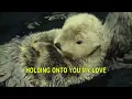 SIPHO. - ARMS (Karaoke Lyric Video)