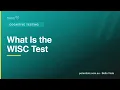 What Is the WISC Test A Parent s Guide to IQ Scores