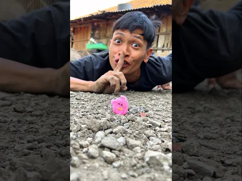 Don't make a sound and it'll go viral, This millipede seems to really love this lollipop #shortvideo