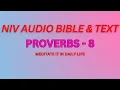 NIV BIBLE THE BOOK OF PROVERBS PROVERBS 8 MEDITATE IT IN DAILY LIFE