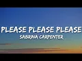 Download Lagu Sabrina Carpenter - Please Please Please (Lyrics)